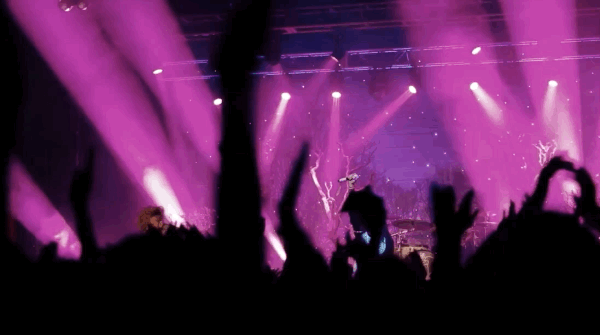 Konserine gitmek istediğiniz sanatçı/müzik grubu var mı?