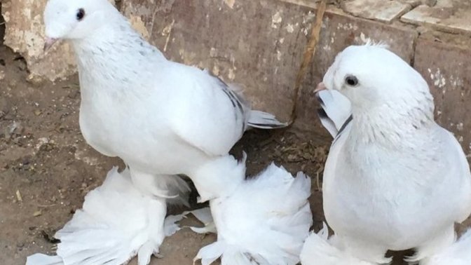 Mucizelere inanır mısınız? 💫🌏🍀✨Sıradışı bir olay yaşadınız mı?🍀💫☀️🔥?