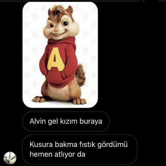 Rus ve Ukraynalı kızlar instagram da Dm den mesaj atınca cevap veriyor, Türk kızları neden vermiyorlar?