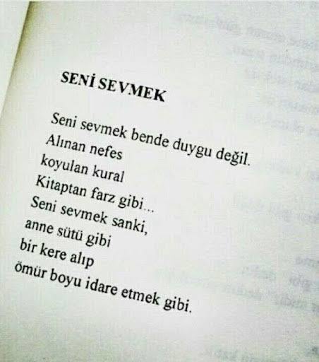 Şiir sever misiniz yoksa dümdüz bir insan misiniz?