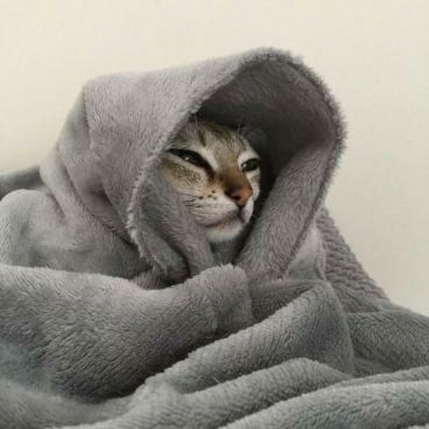 Günaydın! Bu sabah modunuz nasıl?