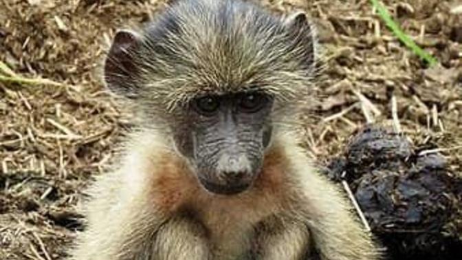 Zor günlerinizde sizi teselli eden birileri var mı?