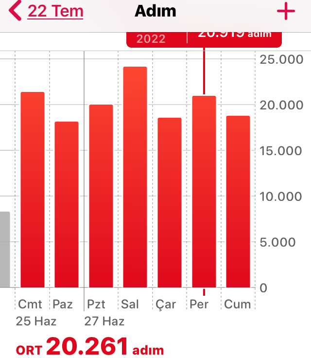 Günlük kaç ne kadar yürüyüş yapıyorsunuz?