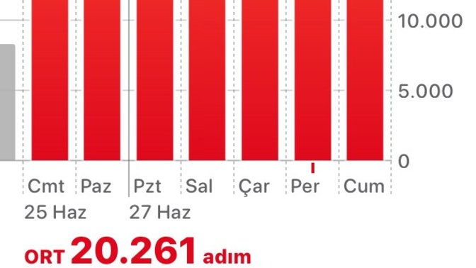 Günlük kaç ne kadar yürüyüş yapıyorsunuz?