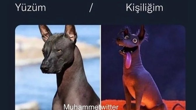 Yüzünüz ile kişiliğiniz uyuşuyor mu?