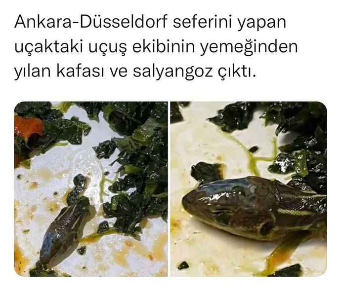 Yılan kafalı ıspanak mı o😎