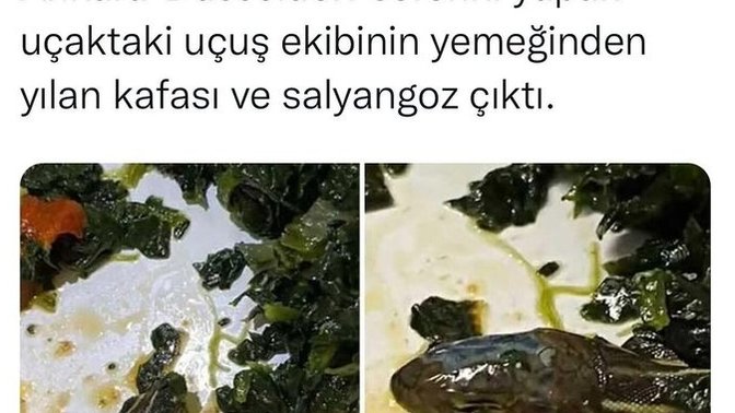 Yemeğinizden yabancı cisim çıksa devam eder misiniz?
