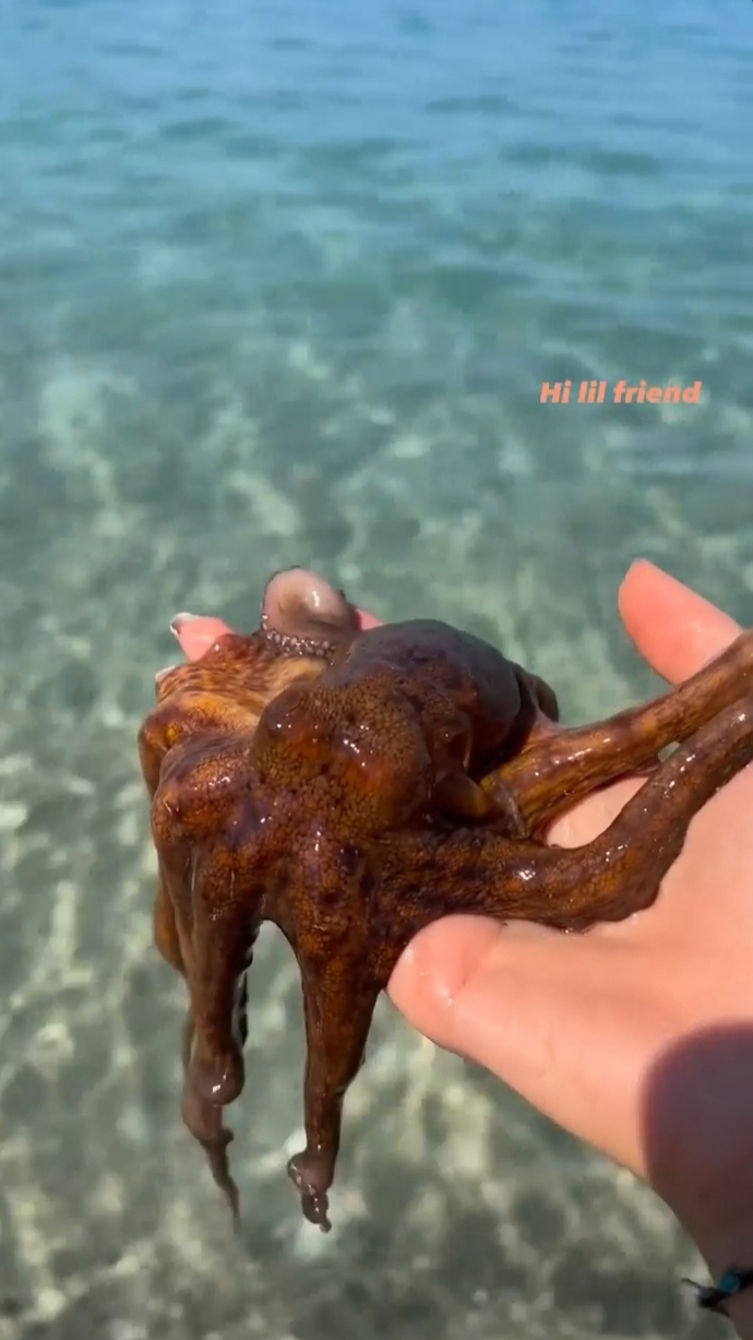 Deniz canlılarıyla aranız nasıl?