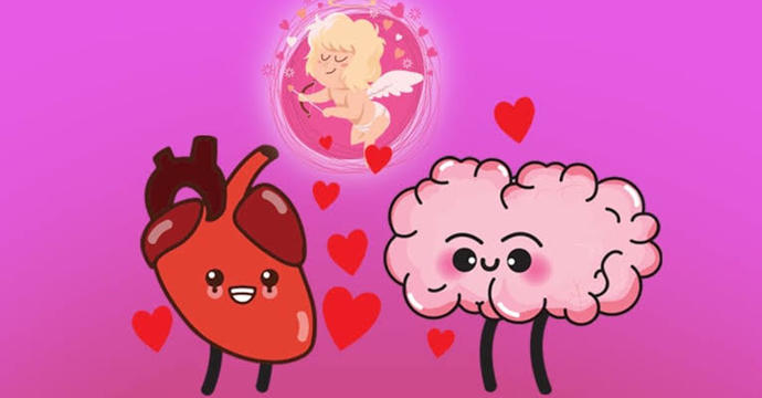 Aşık olduğunuzda sizi kontrol eden beyniniz mi kalbiniz mi?