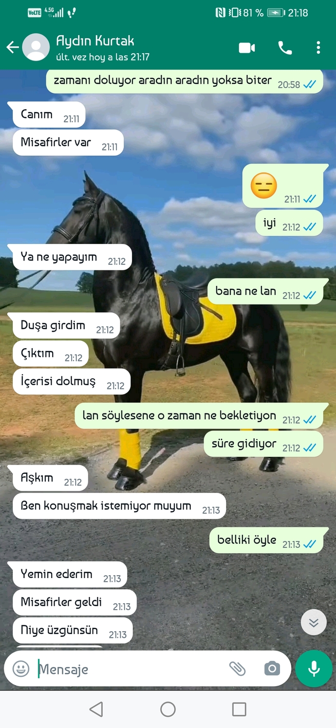 Bazen sevgilinizi gıcık ediyor musunuz?