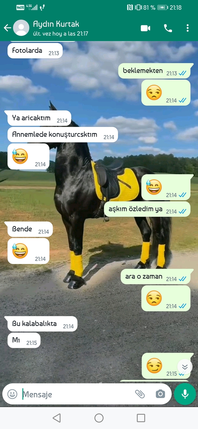 Bazen sevgilinizi gıcık ediyor musunuz?