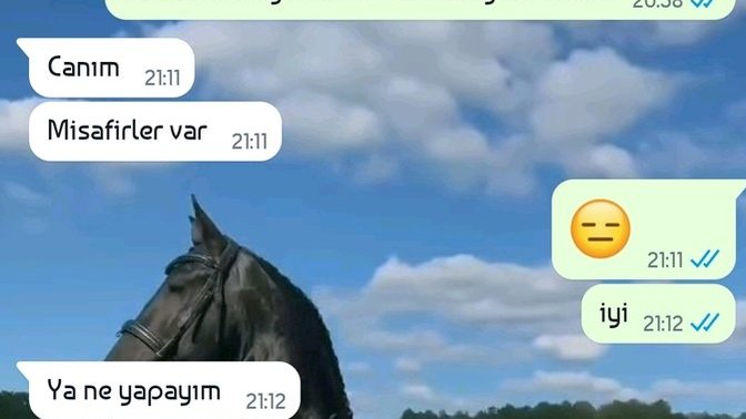 Bazen sevgilinizi gıcık ediyor musunuz?