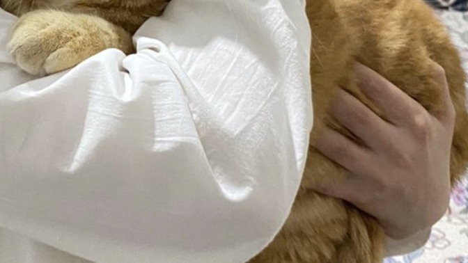 Evinizde kedi besler misiniz?
