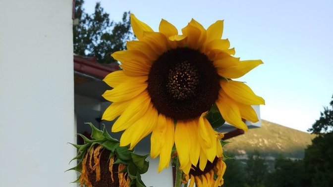 Yeni güne pozitif uyanmanizi sağlayan ne oluyor?