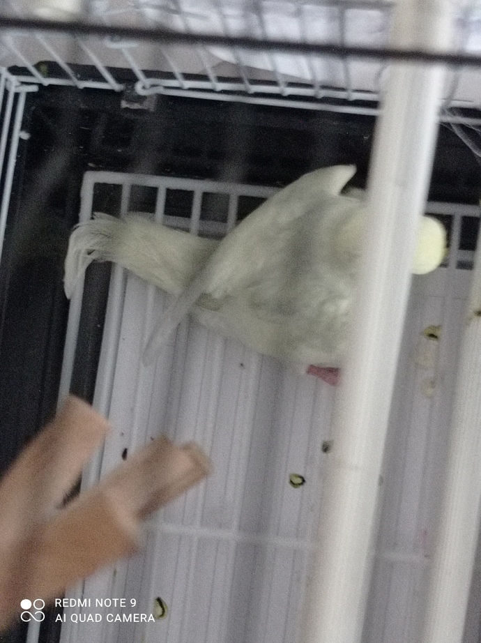 Foto ve link detayda Allah rızası için bakın?