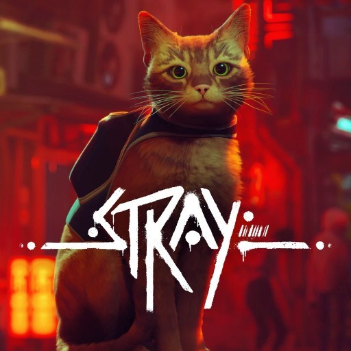 Siz de Stray oynadınız mı?