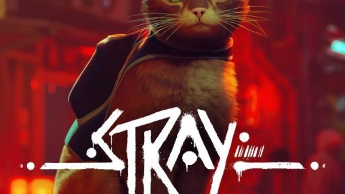 Siz de Stray oynadınız mı?
