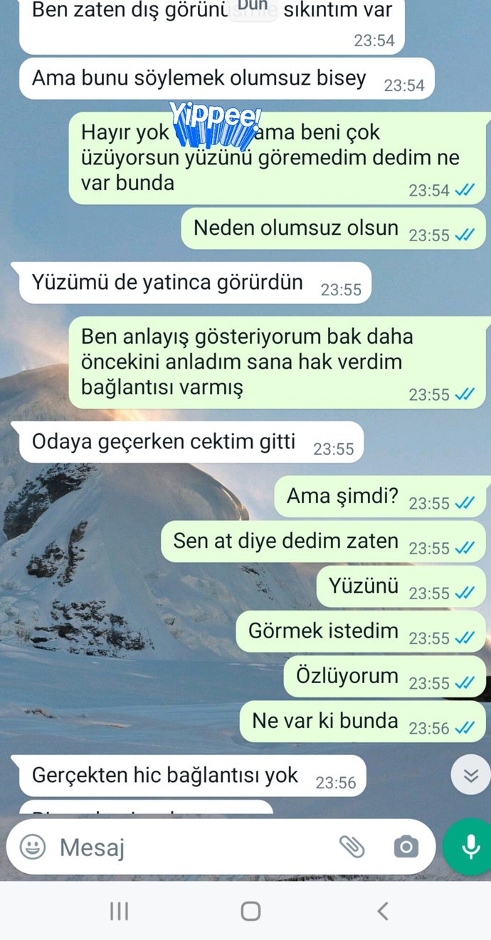 Bende mi sorun var anlamıyorum. Yanlış bir şey mi demişim?