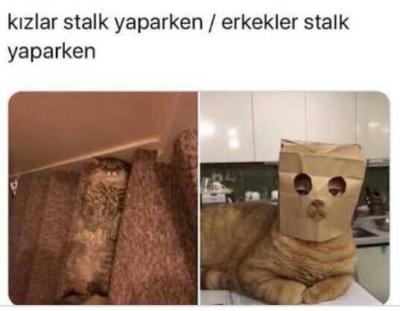Ayrılık sonrası stalkı zirveye taşıyan taraf kadınlar mıdır, erkekler mi?