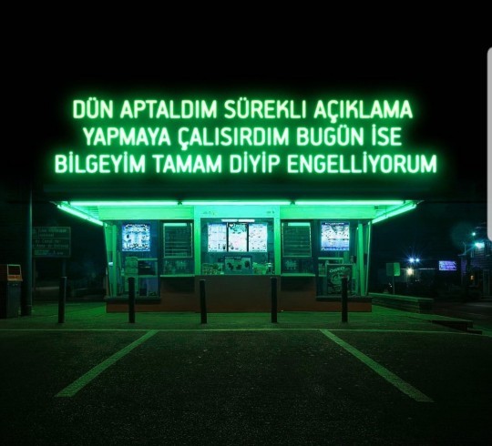 Görsele göre siz aptal mısınız yoksa bilge mi?
