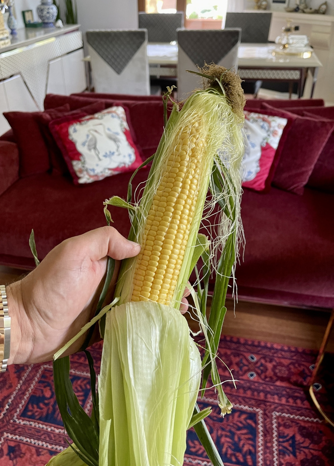 Taze süt mısır 🌽 sever misiniz?