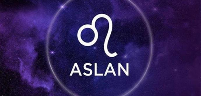 Aslan Burcu erkeğini sever misiniz yoksa nefret mi edersiniz?
