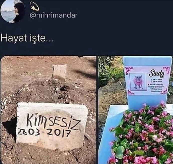 Eşitlikte adaletde yalan 