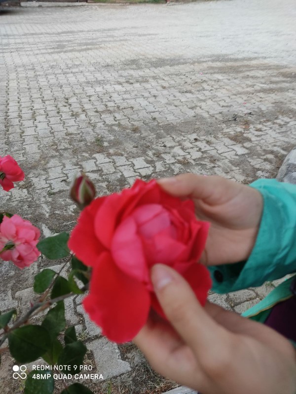 Fotoğrafına baktığınızda içinizin açıldığı biri var mı?