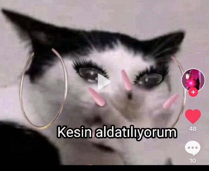 Kedime hangi renk oje sürsem?
