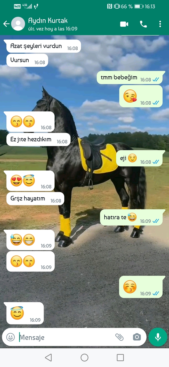 Yeni diller öğrenmeyi sever misiniz yoksa uğraşamam ne işime yarayacak diyenlerden misiniz?