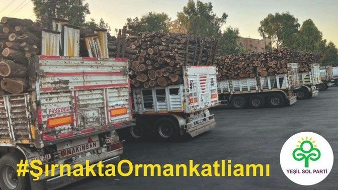 Bu nasıl bir vicdan?