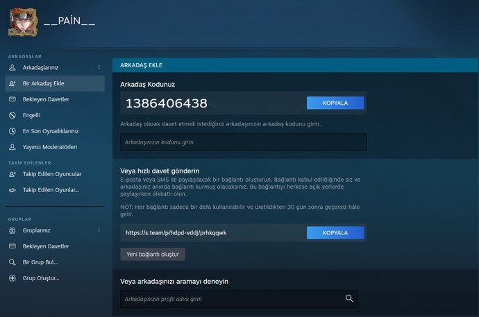 Steamden oyun arkadaşı arıyorum katılır mısın?
