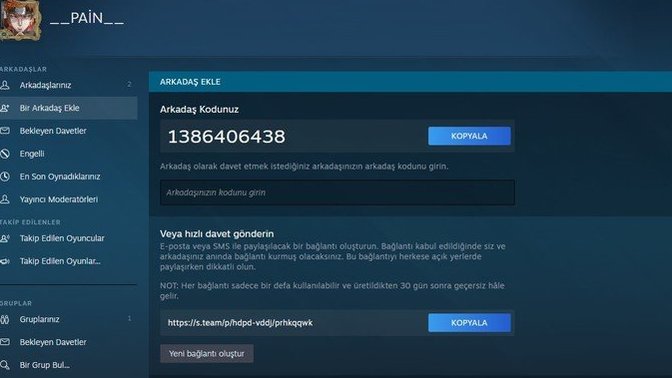 Steam'den oyun arkadaşı arıyorum katılır mısın?