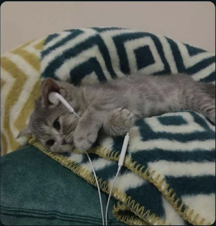 Gecenize hangi müzik eşlik ediyor?