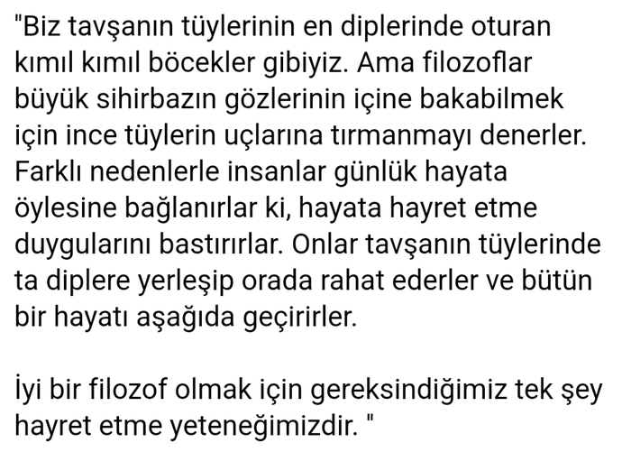 Hepimiz bir bataklıkta yaşıyoruz ama bazılarımız yıldızlara bakıyoruz sözünde ne demek istiyor?