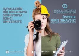 2. İş olarak yapacak olsanız hangi bölümü tercih edersiniz?