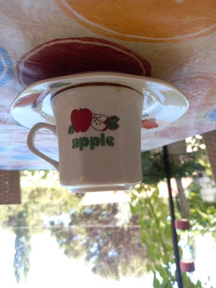 Kullandığın kaç Apple ürünü var?