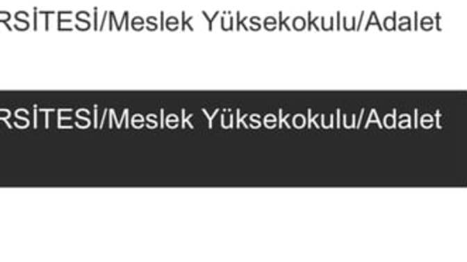 İlk kez yks’de tercih yapıyorum yardımcı olur musunuz?