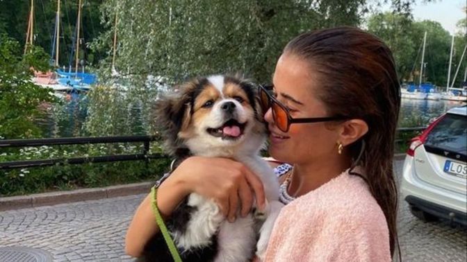 Yeni taşındığım sitede köpeği olan komşularla nasıl ilişki kurabilirim?