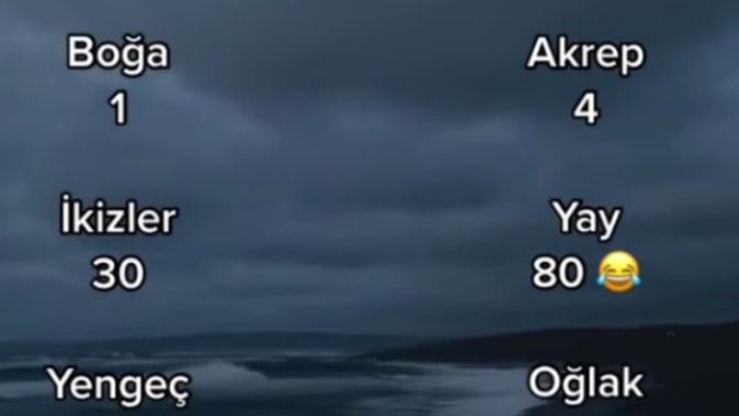 Burcuna göre kaç flörtün oldu?