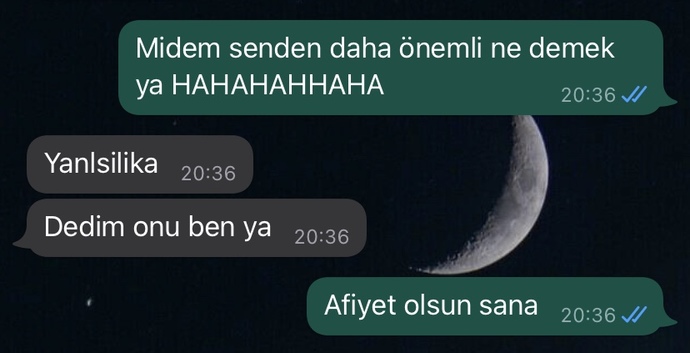 Flörtünüzle Telefonda konusurken Size Yemek yicem Midem Senden daha önemli dese Napardiniz?