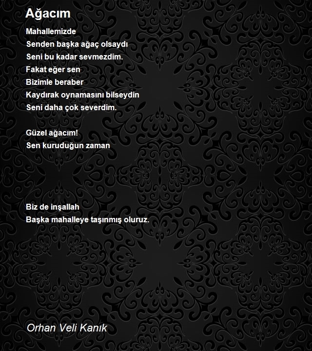 Ceviz ağacım var 3 yaşında, bir yılda boyu ne kadar uzar?