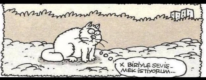 Gece 12den sonra mesaj atan erkekten hayır gelmez mi?