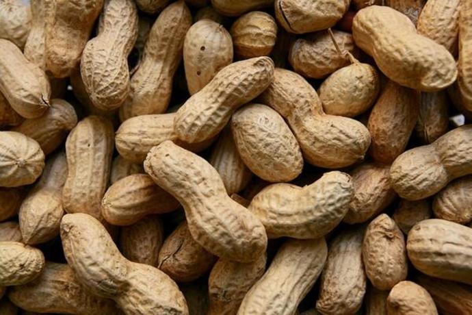 Hangisini almam gerekiyor?