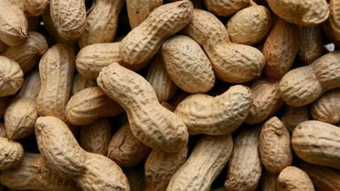 Fıstık ezmesi yapacağım. Hangisini almam gerekiyor?