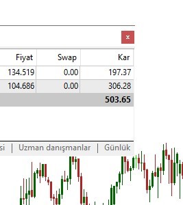 Sizi heyecanlandıran şeyler?
