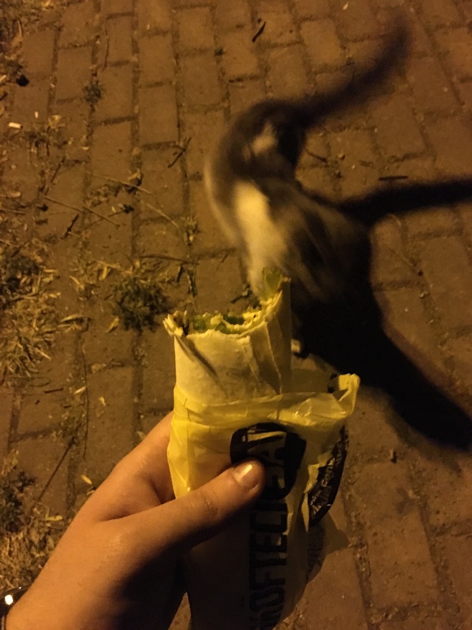Gece gece çiğ köfte olsa yer miydiniz?
