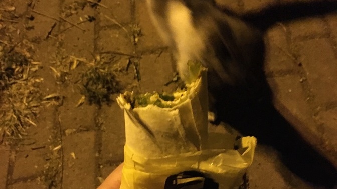 Gece gece çiğ köfte olsa yer miydiniz?