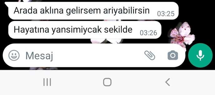 Seviyorum ama cok kirdı ne diyebilirim?