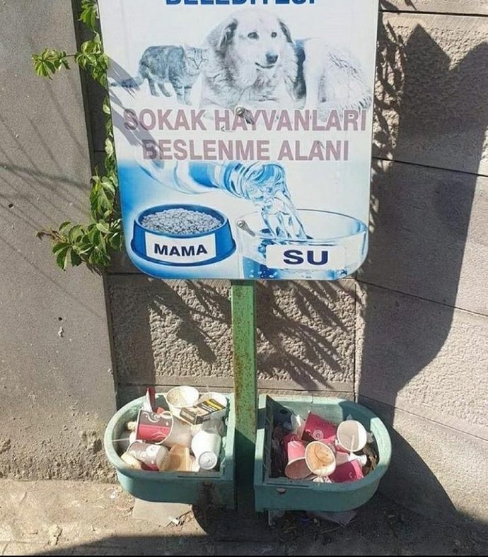 Sokak hayvanları için konan kaplara çöp atanlara ne demek istersiniz?